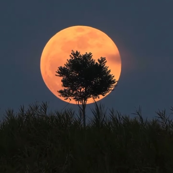 📦SHIPPING LABELS 📦🌕🧜🏻‍♀️🌊🦀🧜‍♀️🧜🏼‍♂️ - Picture 5 of 10